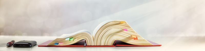 Auskunftsrecht gegenüber Anwälten